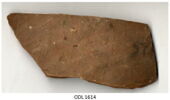 ostracon, image 3/3