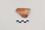 ostracon, image 2/4