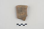 ostracon, image 1/3