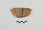 ostracon, image 2/3