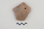 ostracon, image 1/3