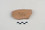 ostracon, image 2/3