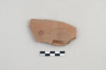 ostracon, image 1/3
