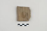 ostracon, image 2/3