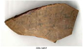 ostracon, image 3/3