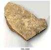 ostracon, image 5/5