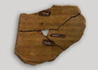 ostracon, image 4/5