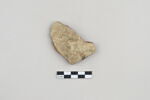 ostracon, image 1/5