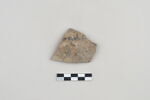 ostracon, image 1/3