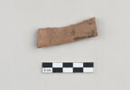 ostracon, image 1/3