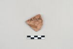 ostracon, image 1/3