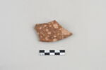 ostracon, image 1/3