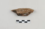 ostracon, image 2/3