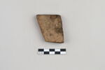 ostracon, image 2/4