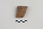 ostracon, image 1/4