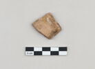 ostracon, image 2/3