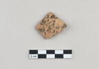 ostracon, image 1/3
