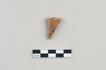 ostracon, image 1/3