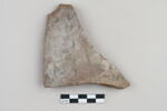 ostracon, image 1/3