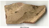 ostracon, image 2/2