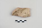 ostracon, image 2/4
