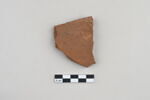 ostracon, image 1/3