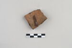 ostracon, image 2/3