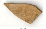 ostracon, image 3/3