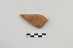 ostracon, image 1/3