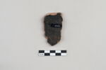 ostracon, image 2/3