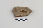 ostracon, image 2/3