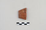 ostracon, image 1/4