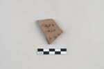 ostracon, image 1/3