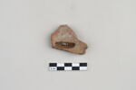ostracon, image 2/3