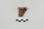 ostracon, image 2/3