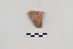 ostracon, image 1/3