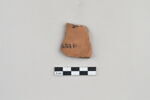 ostracon, image 1/3