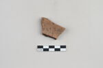 ostracon, image 2/4