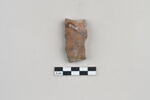 ostracon, image 2/3