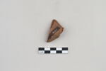 ostracon, image 4/5
