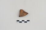 ostracon, image 1/5