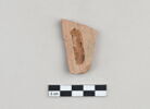 ostracon, image 2/3