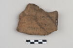 ostracon, image 2/4