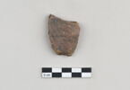 ostracon, image 1/6