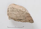 ostracon, image 2/2