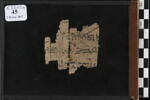 papyrus, image 1/2