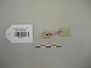 perle ; collier, image 1/2