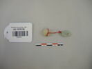 perle ; collier, image 1/2