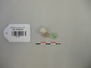 perle ; collier, image 1/2