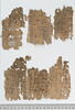 papyrus, image 2/4